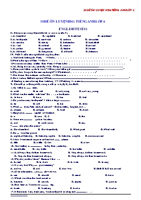 30 Đề ôn luyện thi học sinh giỏi Tiếng anh lớp 6
